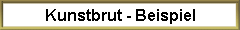 Kunstbrut - Beispiel