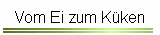 Vom Ei zum Küken